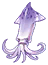 fairy squid
