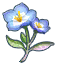 arcane flower
