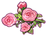 redmoon rose