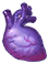 dracula's heart