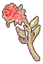 witherless rose