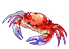 salt crab
