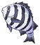 striped beakfish